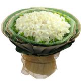 佭ʻٵ