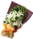 佭ʻٵ